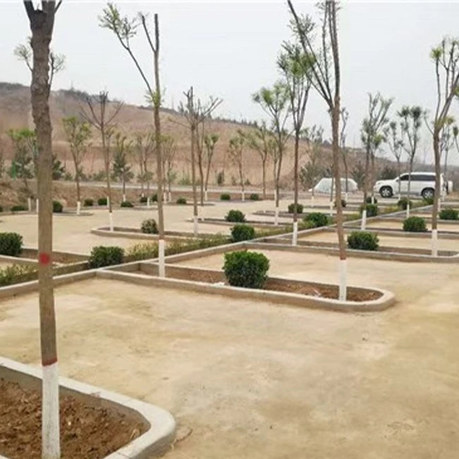 soil stabilizer2 soil stabilizer2